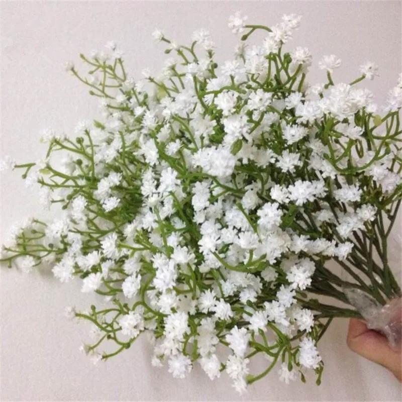 babysbreath