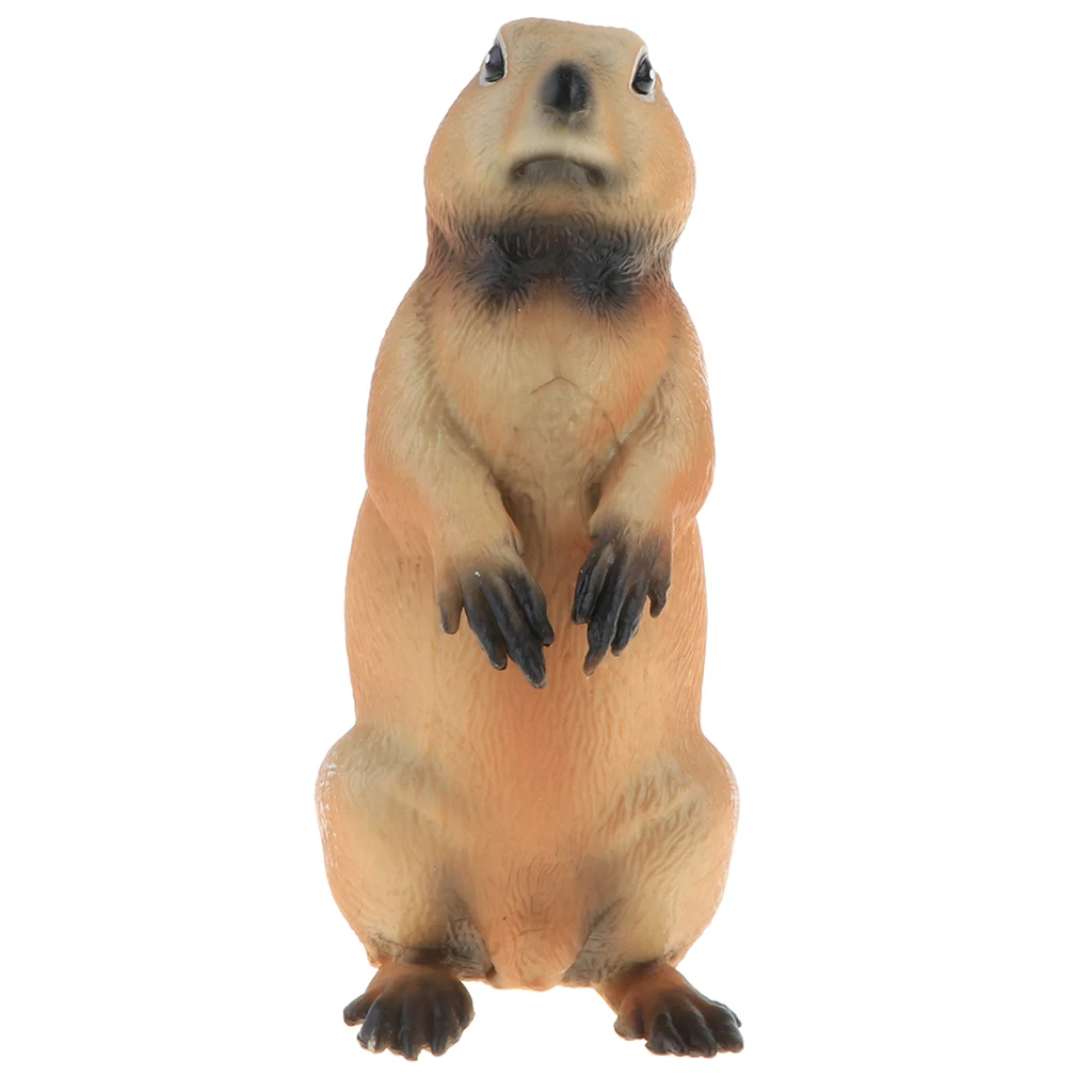 2pcs Simulation Wildlife Animal Model Figurine Kids Science & Nature Toy Collection Home Decoration Party Favors- Marmot