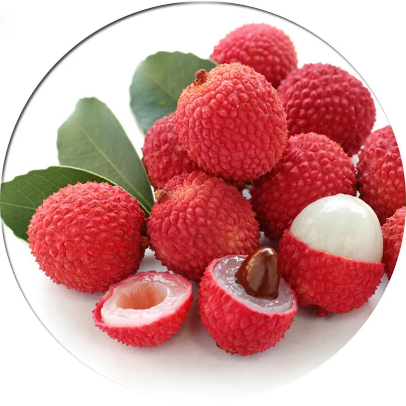 

ZLKING Summer Delicious Fruit Litchi Nutritious and Delicious Fruit DIY Home Bonsai Tree 3 Particles / lot