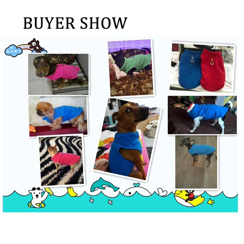 buyer show