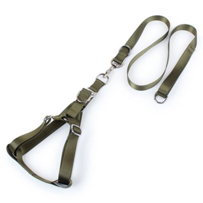 dog training leash (5)