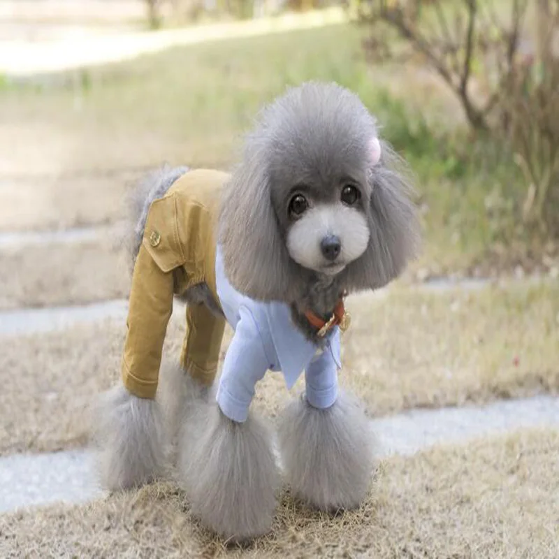 QQ20190416144516