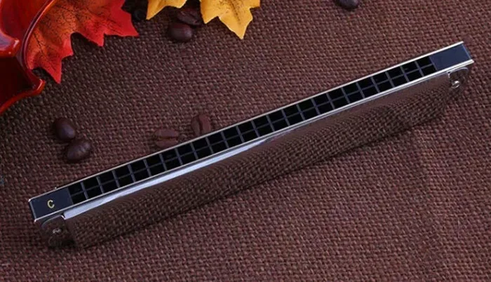Гармоника Tremolo Easttop музыкальный инструмент с 24 отверстиями гармонитор для