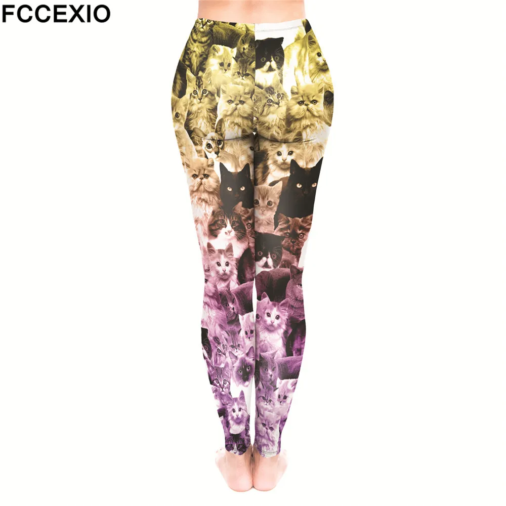 52180 CATS YELLOW VIOLET (2)