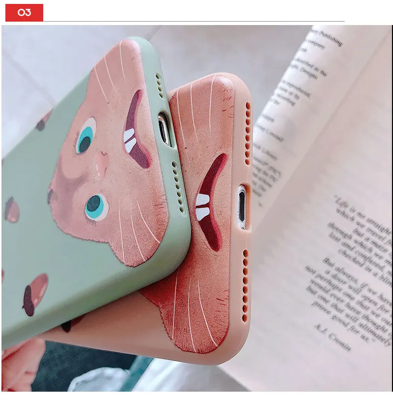 Matte Squirrel Phone Case For iPhone 6 7 8 Plus Case Cover Silicone Phone Cases For X XS 8Plus 10 XR Max 6s Cases Capinha Shell  (7)