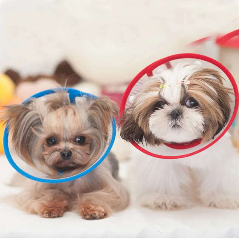 elizabethan collar for small dogs