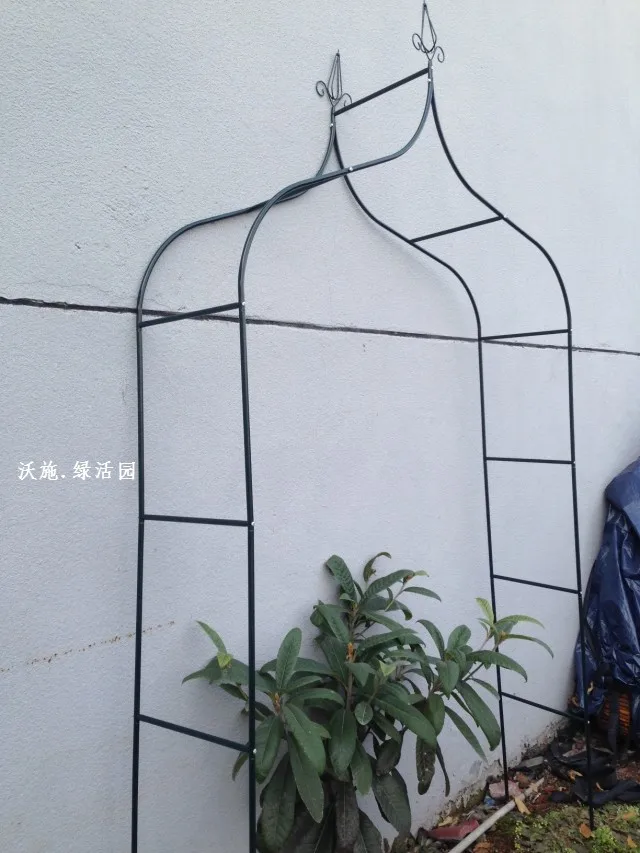 Climbing frame Wrought iron flower arch cosmetic Cany on grape wedding iron frame