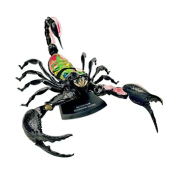 

4D MASTER Educational Assembled Toy Simulation Scorpion Anatomy Of The Organ Medicine Teaching Model Action Figure X1574