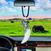 Miroir de voiture suspendu à dents de loup, accessoires d'intérieur, cadeaux, design de voiture ► Photo 2/6