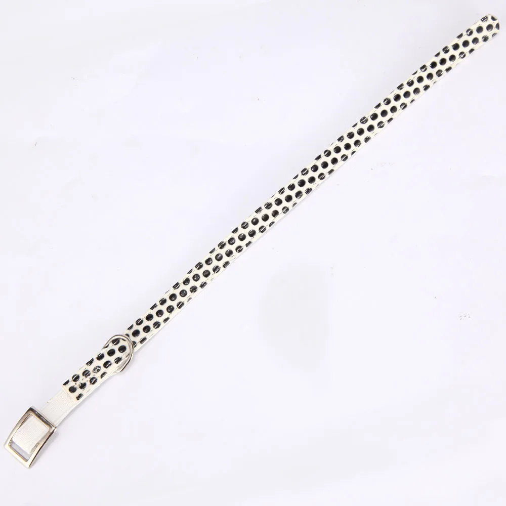 Dog Collar for Small Dogs (2)