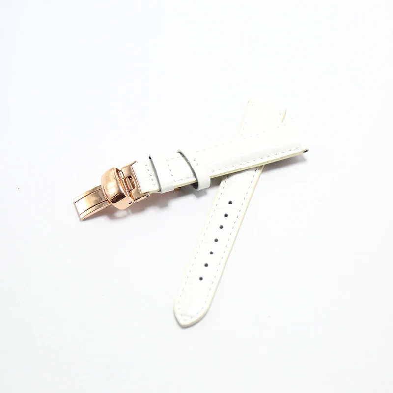 5B9A0488