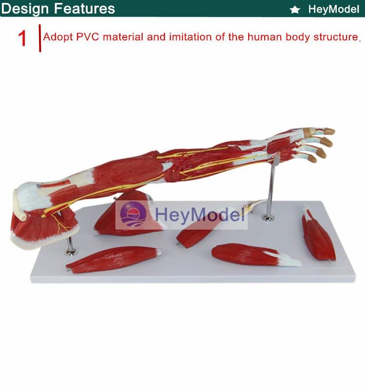 1.PVC_
