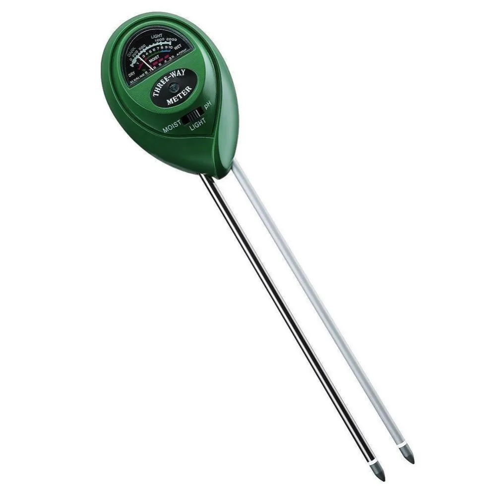 PGG5358g02
