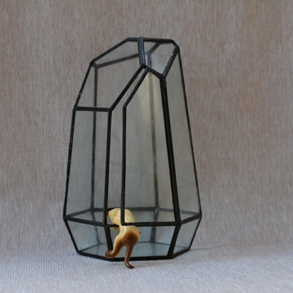 Irregular Glass Geometric Terrarium Box Tabletop Succulent Plant Planter