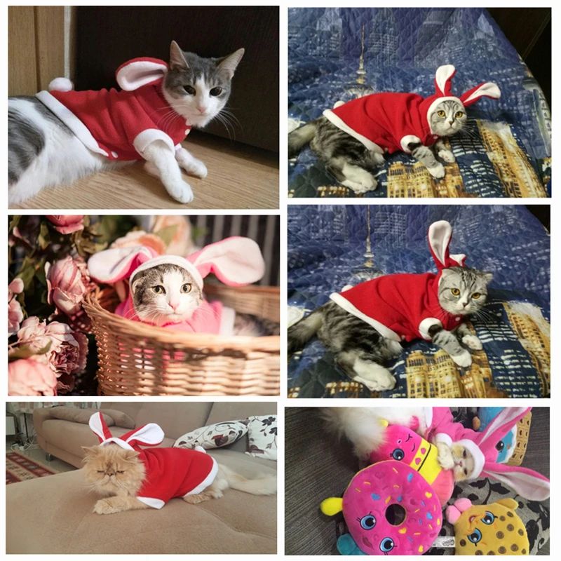 Зимняя одежда для кошек; костюм для домашних животных; Рождественская Одежда для собак; пальто с милым кроликом; теплая одежда; забавные вечерние костюмы; 11cY40S2
