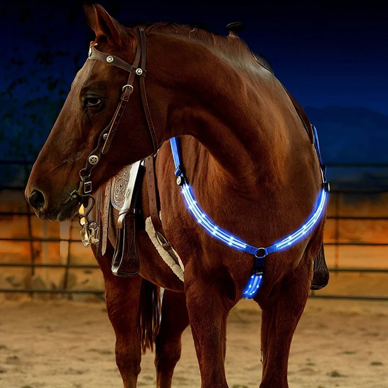 Night Visible LED Lights Horse Riding Bridle Halter Equestrian Horse
