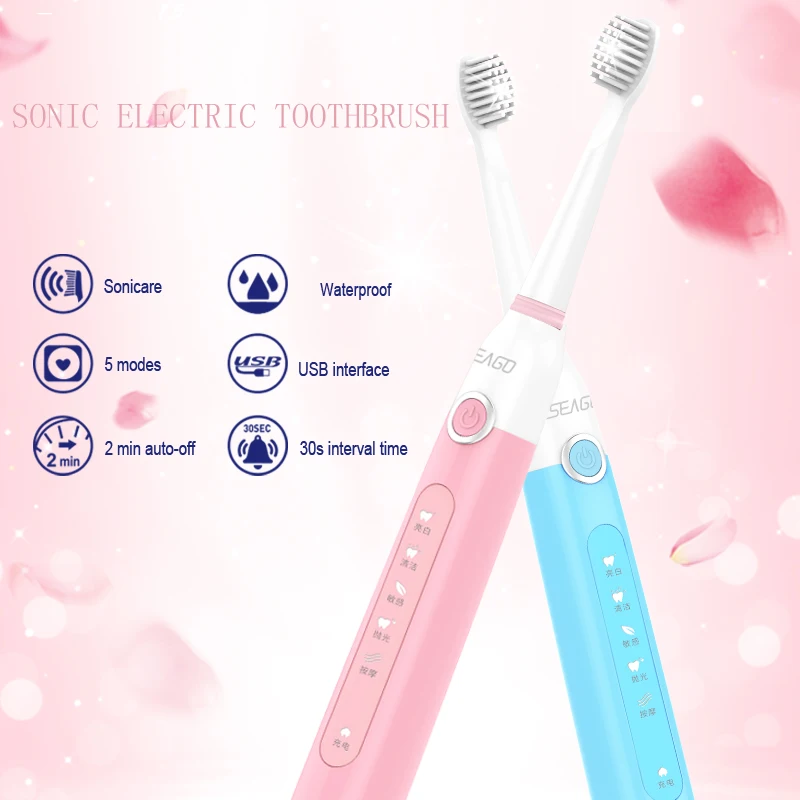 

SEAGO Electric Toothbrush USB Sonic Rechargeable Teeth Brushes 8 Replacement Heads Smart Timer Waterproof SG-507