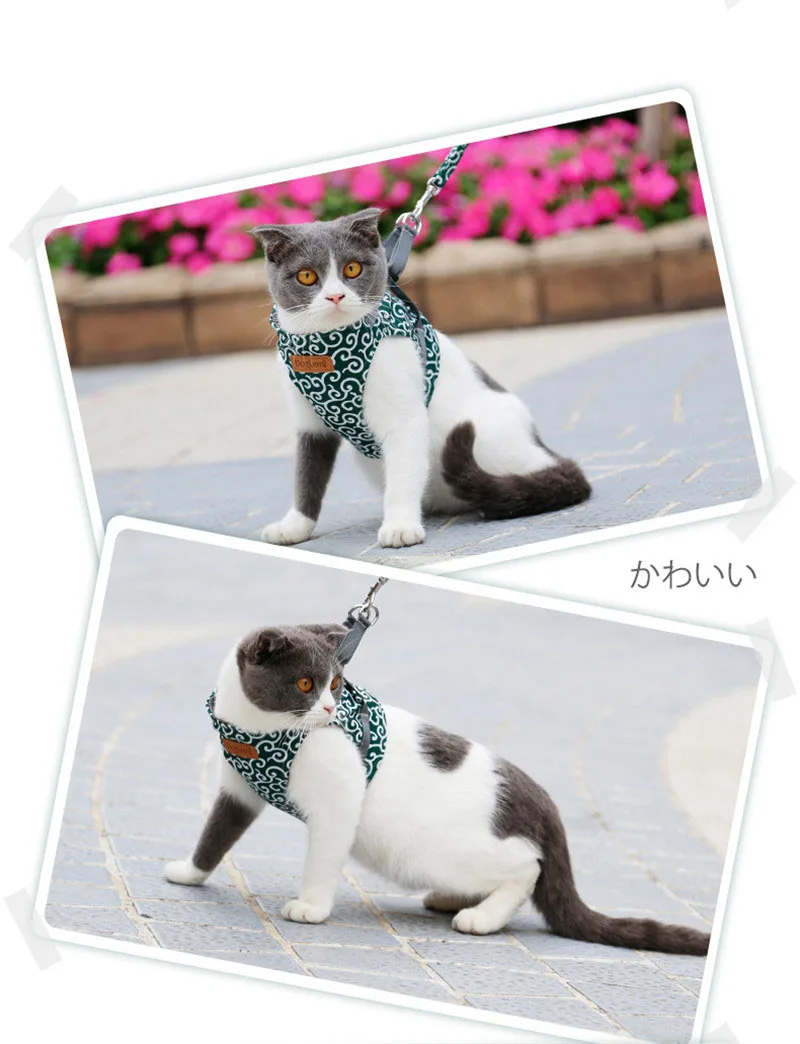 Cat Harness and Leash Set (3)