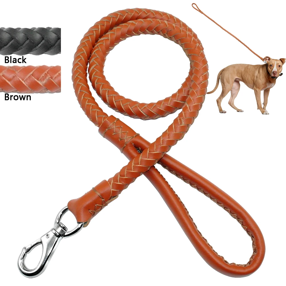 COODIO Easily Controlled Pet Braided Leash Rope for Dog Outdoor Walking Green M 