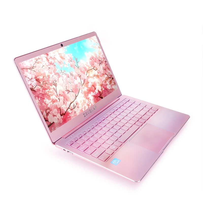 

14inch 8GB RAM 256GB SSD IPS Screen backlit keyboard Metal Notebook Computer Laptop