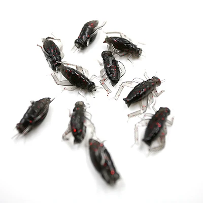 

New 10pcs/lot Artificial Fish Bait Pest Fishing Swimbait Soft Insect Baits Black Cricket Fishing Lures Fishing Accessories