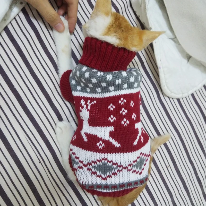 Зимний свитер для кошек| |