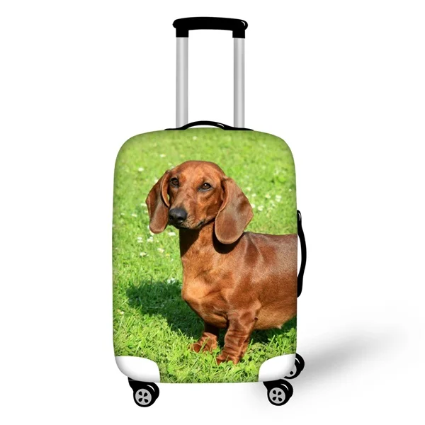 Coloranimal Dachshund Dog Luggage Protective Cover 3D Pet Dog Print
