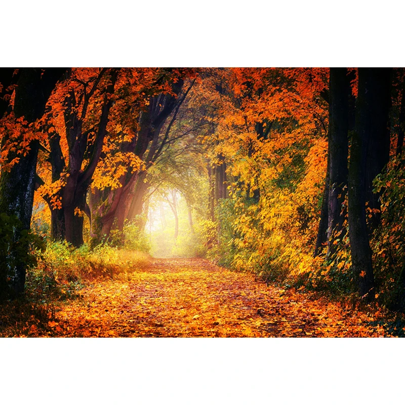 

Round Drill DIY Diamond Painting Autumn Scenery Cross Stitch Landscape Diamond Embroidery Mosaic home Decorative Wall Painting