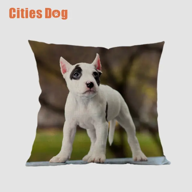 Animal Dog Square Pillowcase Linen American Staffordshire Terrier Extraordinary Decorative Pillows Dogs Animal Dog Square Pillowcase Linen American Staffordshire Terrier Extraordinary Decorative Pillows Dogs