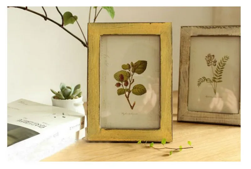frame (4)