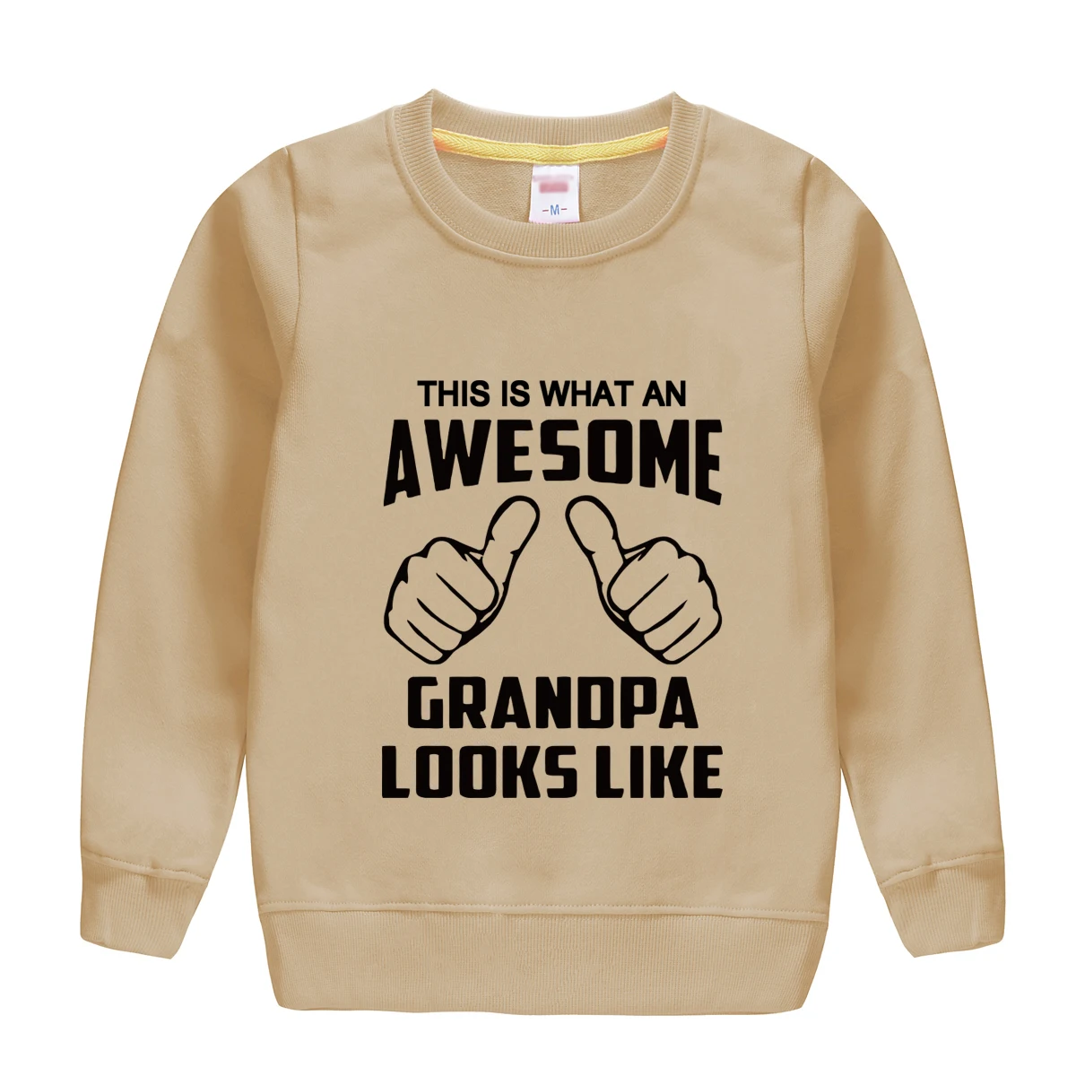 "this is what an awesome granopa looks like " printing 2018 new fashion cotton sweatshirt baby boy clothing top tees for kids HTB1qAXclZnI8KJjSspeq6AwIpXam - "this is what an awesome granopa looks like " printing 2018 new fashion cotton sweatshirt baby boy clothing top tees for kids