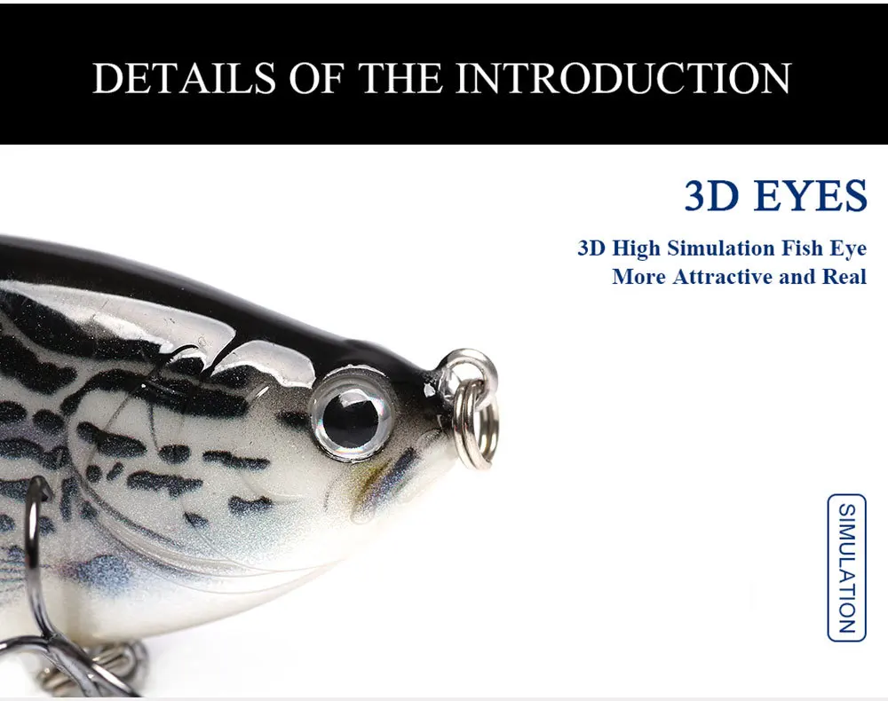 9538566758_1443486317