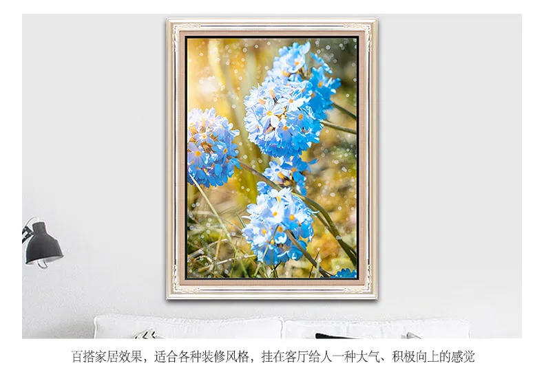 5678108955_1584925399