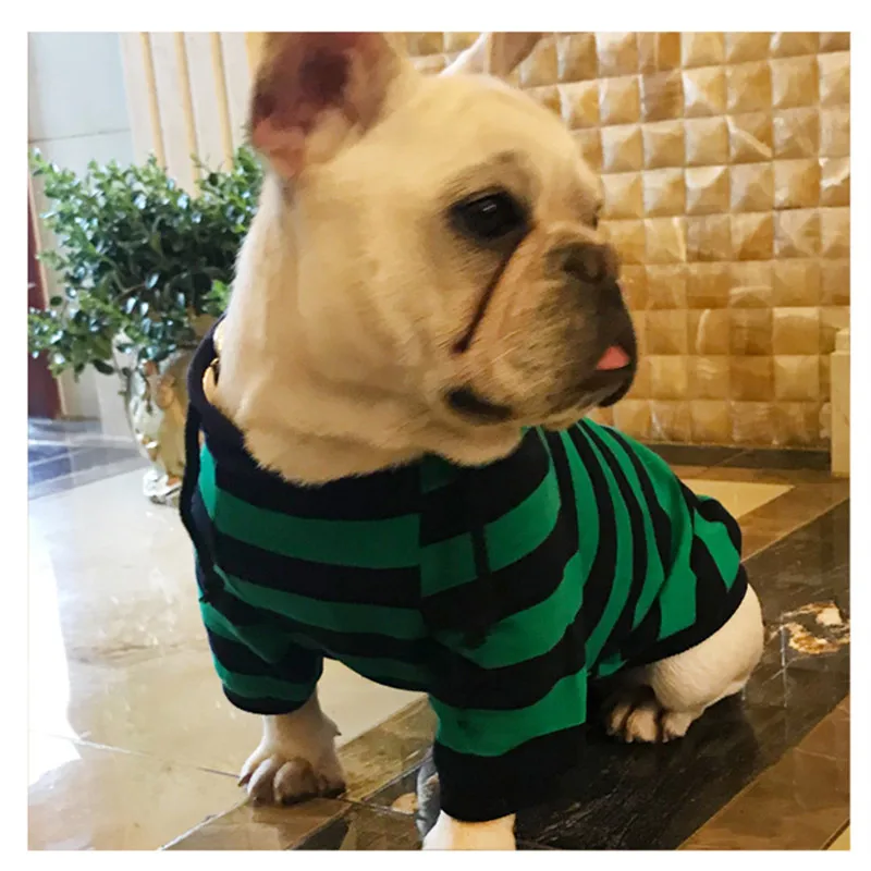 Bigeyedog для Мопсов, французских бульдогов одежда с принтом в виде собак зима-осень Весна собака толстовка с капюшоном пудель, Йорк ПЭТ Костюмы - Цвет: Зеленый