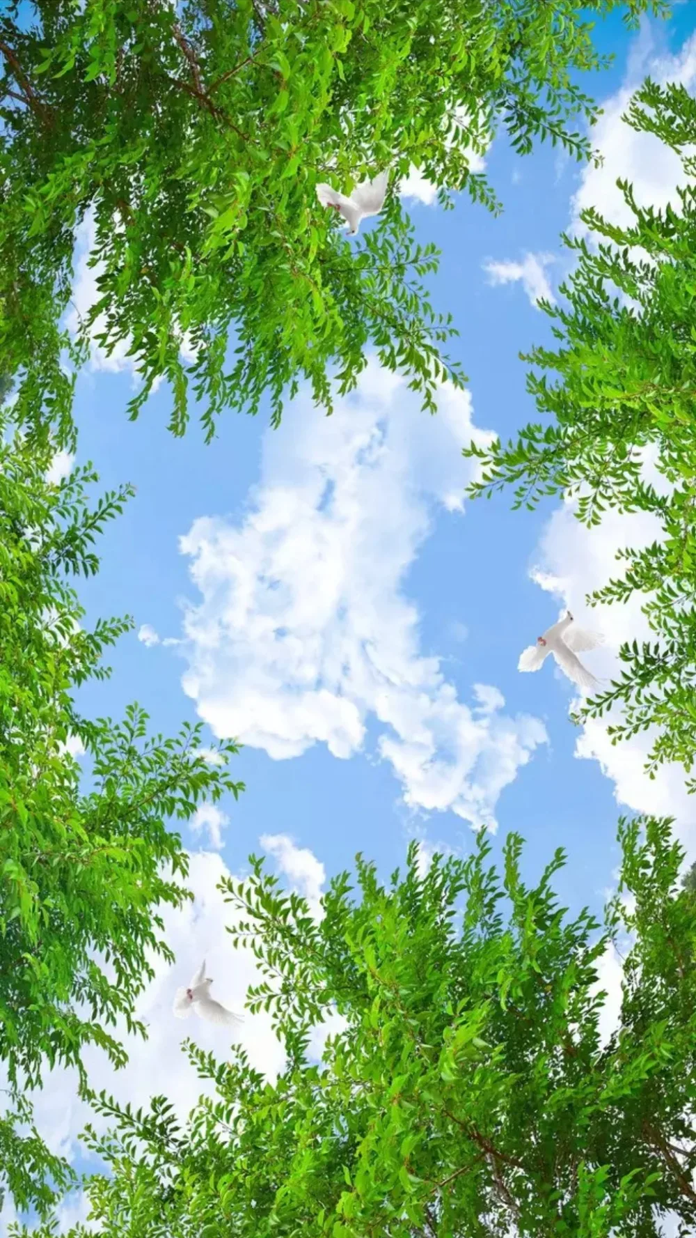 2018-09-30_145528