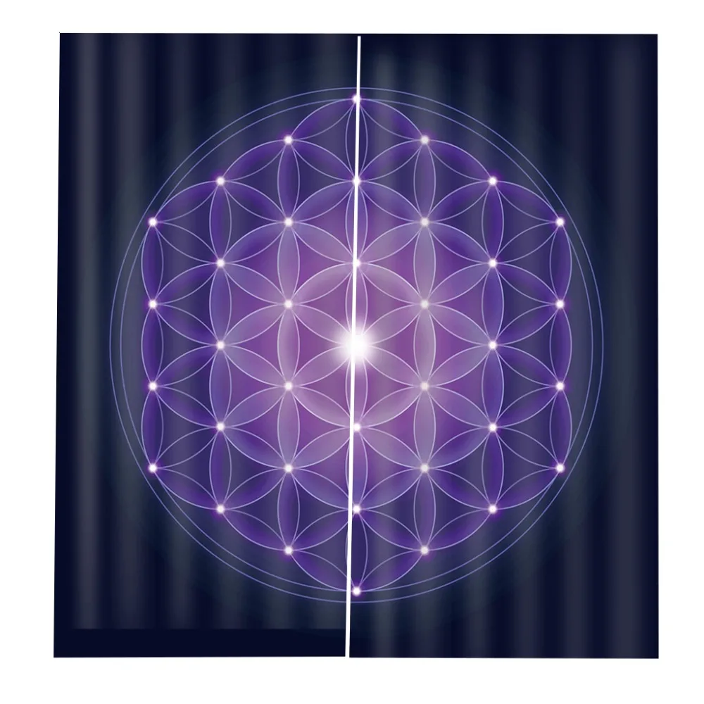 11 (30)