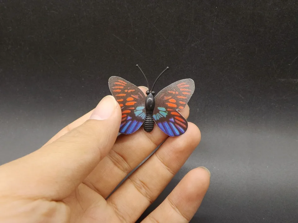 I246-Butterfly (1)
