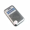 Degen радио DE333 FM AM приемник Мини Ручка Портативный двухдиапазонный FM радио рекордер A0796A - фото
