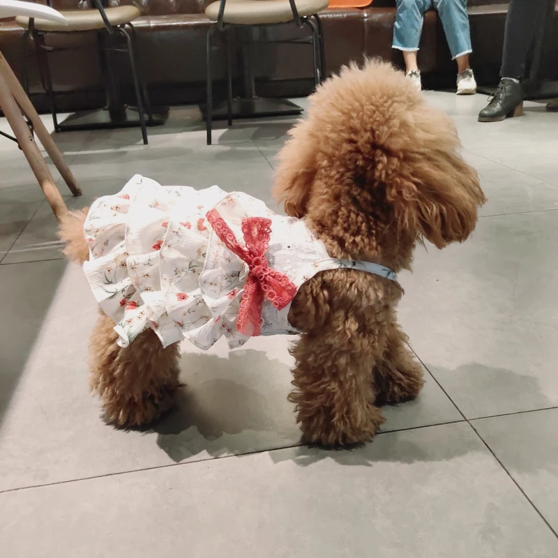 Cute Bowknot Dog Dress Cat Chihuahua Yorkshire Puppy Dog Clothes Small Dog Costume Yorkie Poodle Bichon Schnauzer Pet Clothing