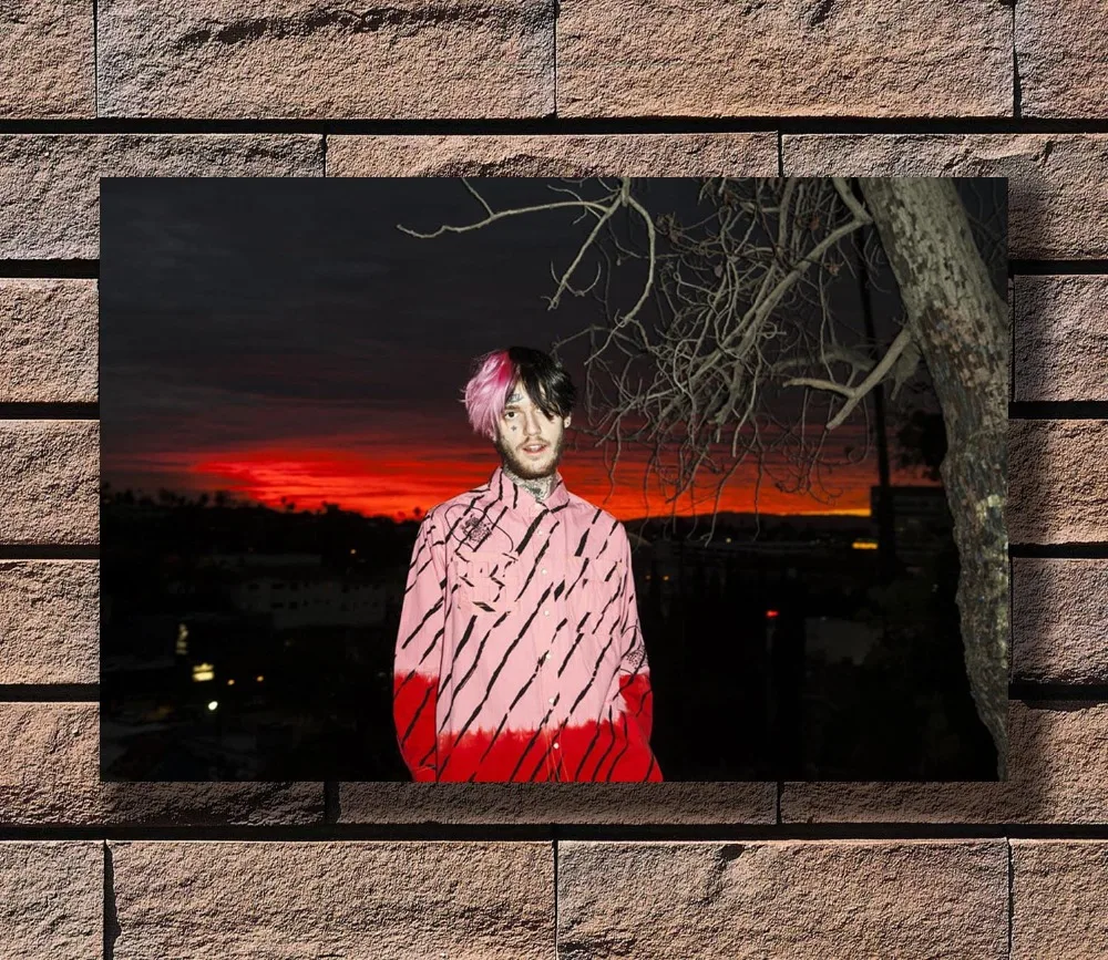 

B-91 Lil Peep Rapper Music Singer Star American Hip Hop Poster Art L-W Canvas Print Decoration 12x18 24x36 27x40 inch