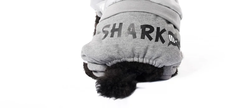 10 overalls for dogs winter 