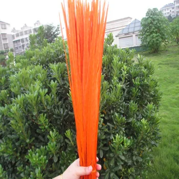 

heat! 50pcs / lot orange color pheasant tail feathers 16-18 inches / 40-45 cm Wedding stage decoration