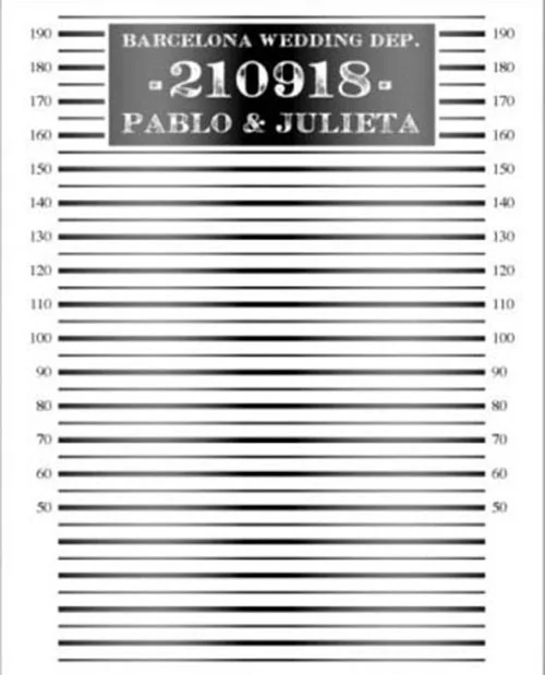 

custom Photocall Boda Policial Mugshot Mug Shot Police Line Up backgrounds High quality Computer print party backdrop