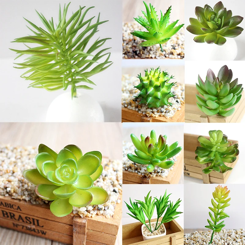 Популярные разнообразные миниатюрные суккуленты моделирование Мини DIY