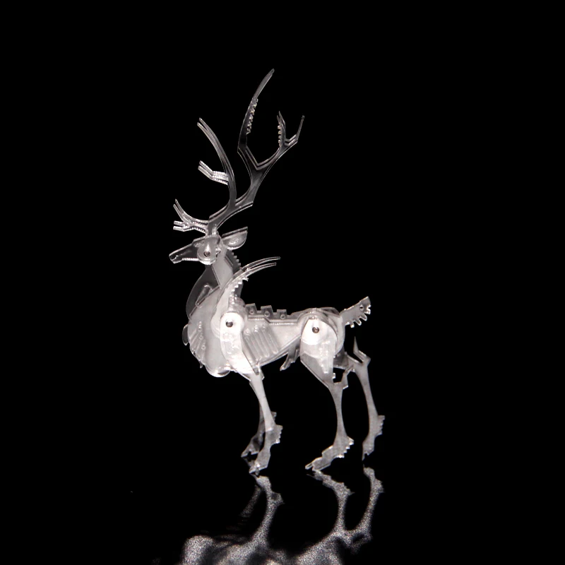 IMG_6945