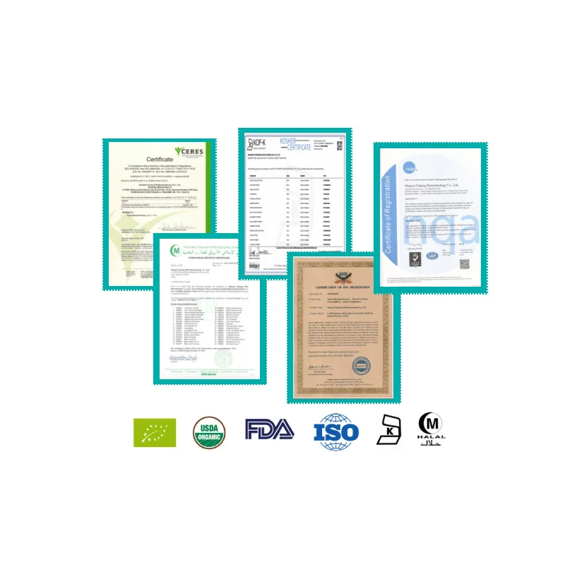 USDA и EC сертифицированный органический экстракт одуванчика 10:1