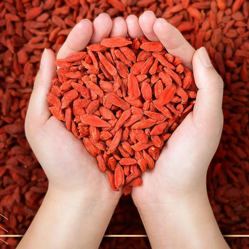 Organic Goji Berry Powder Extract 20x 100g1kg Antioxidant