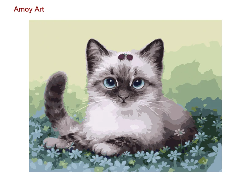 

Frameless diy picture on wall acrylic painting by numbers Cute Cat drawing by numbers with frame unique gift paint by number cat