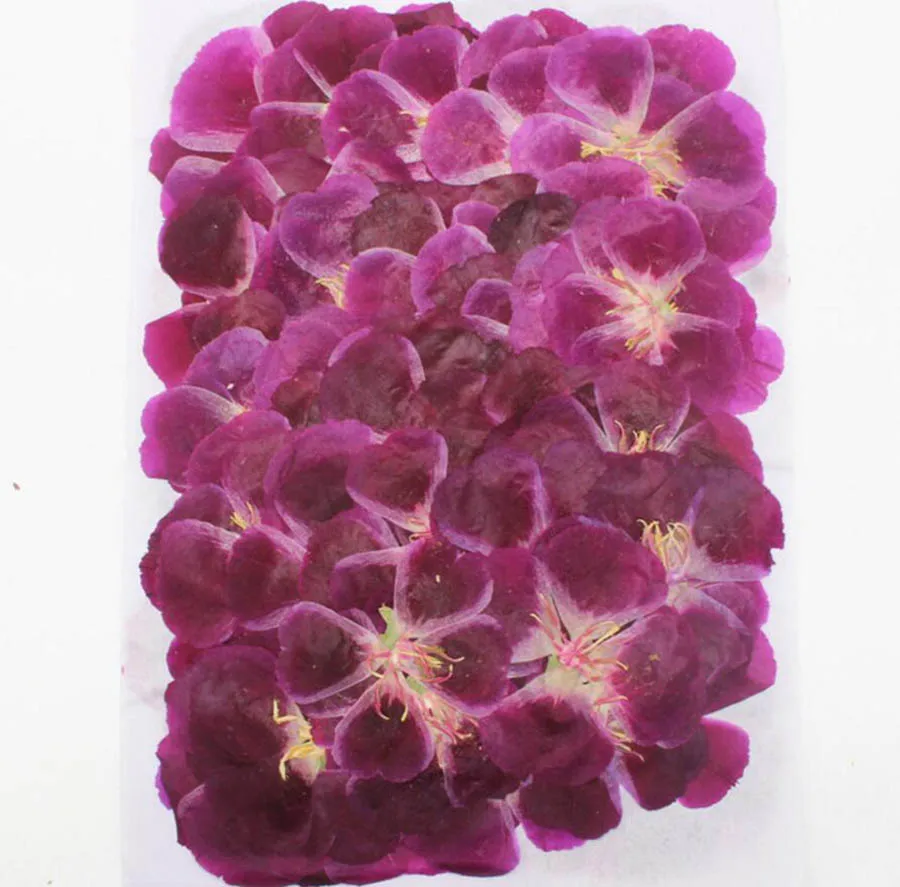 120 шт 4-7 см прессованный высушенный Godetia цветы растения гербарий для ювелирных открыток телефон чехол с рамкой для фото закладки ремесло DIY