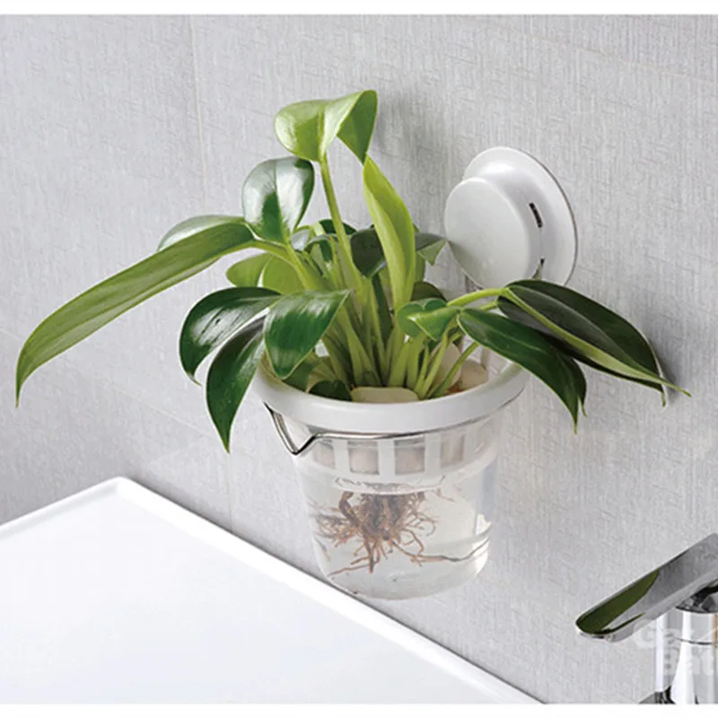 vacuum suction shelf wall cup flower pot with flower holderin Flower